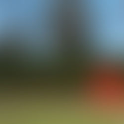 Leuven Actueel: Huldenberg lanceert programma WK-dorp