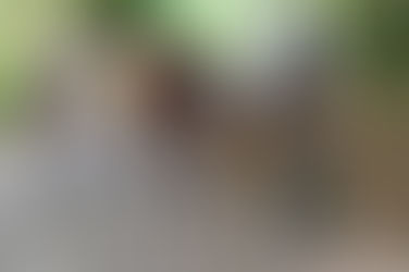 Brabantse Pijl doorkruist ook dit jaar Huldenberg