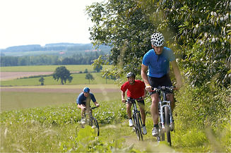 mountainbike PSO.jpg