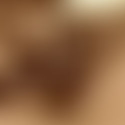 Benelux – kampioenschap retrokoers in Huldenberg