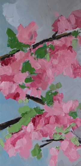 Cherry Blossum 2