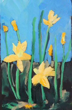 Daffodils
