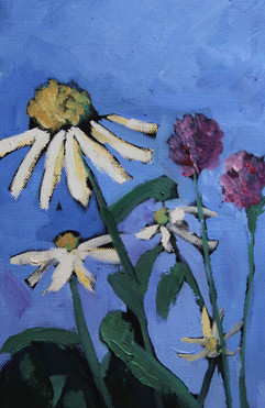 Daisy