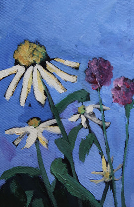 Daisy
