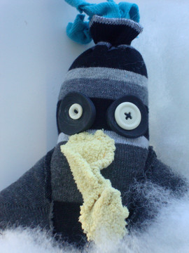 Snow bird. 8/13