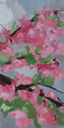 Cherry Blossum