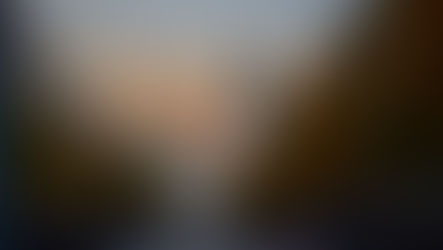 Abendstimmung in der Altstadt von Vilnius mit Blick auf die Kathedrale und den Glockenturm, flankiert von herbstlich gefärbten Bäumen.