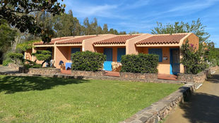 Bungalows des TUI BLUE Budoni auf Sardinien mit Terrasse und blauer Tür, umgeben von mediterraner Vegetation und gepflegtem Rasen unter blauem Himmel.