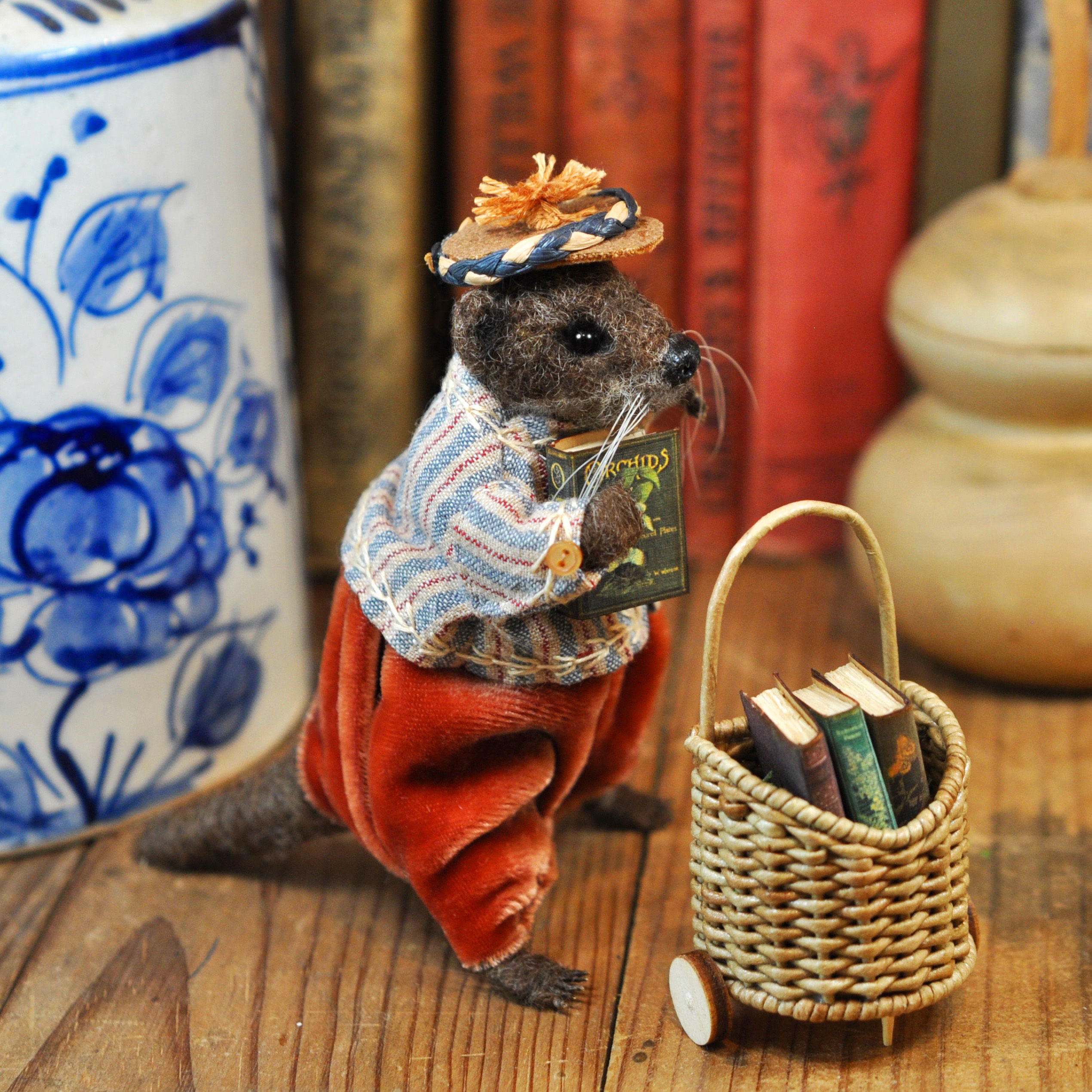 Little Otter and his favorite books