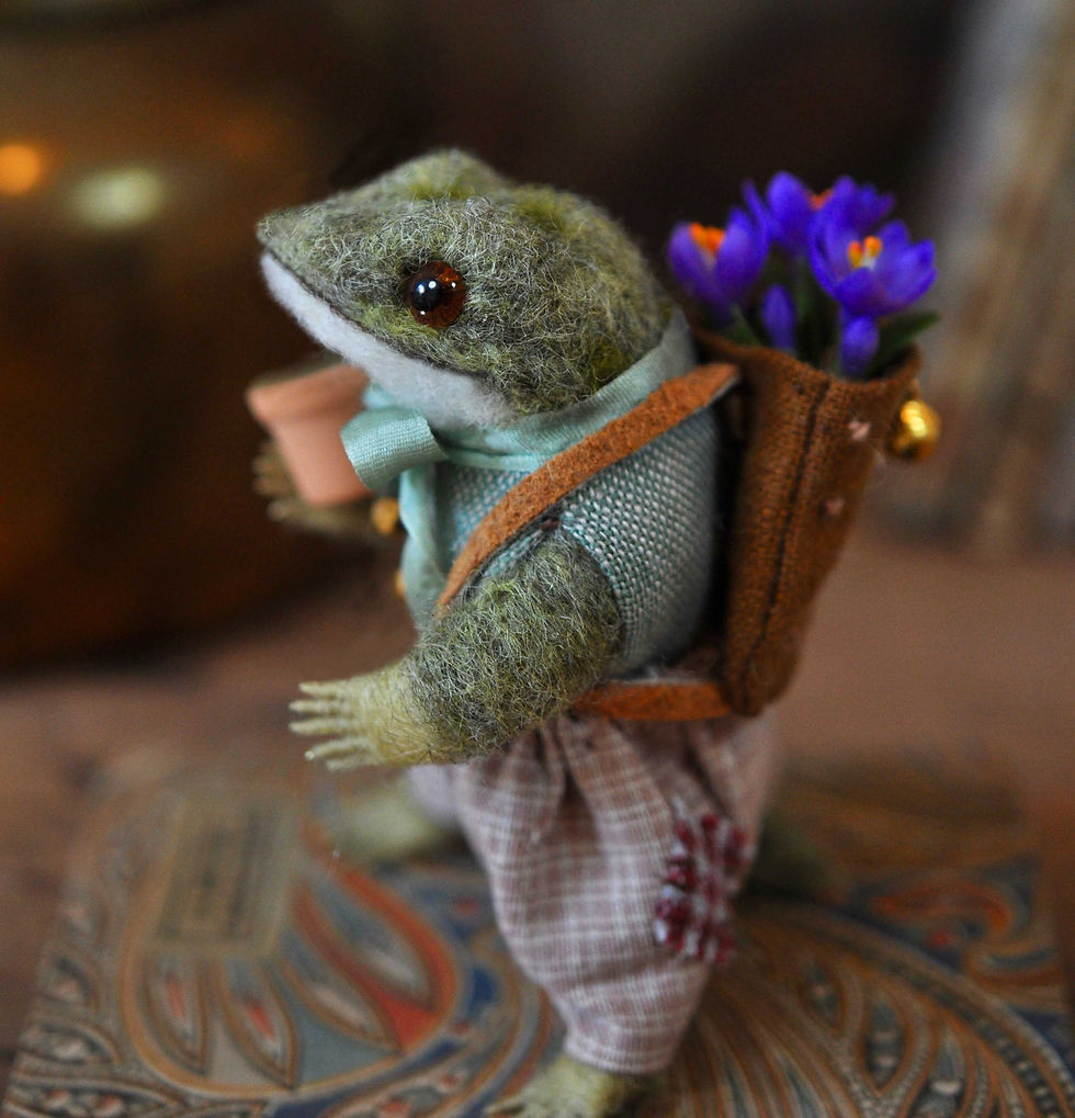 Thumbnail: Little spring frog