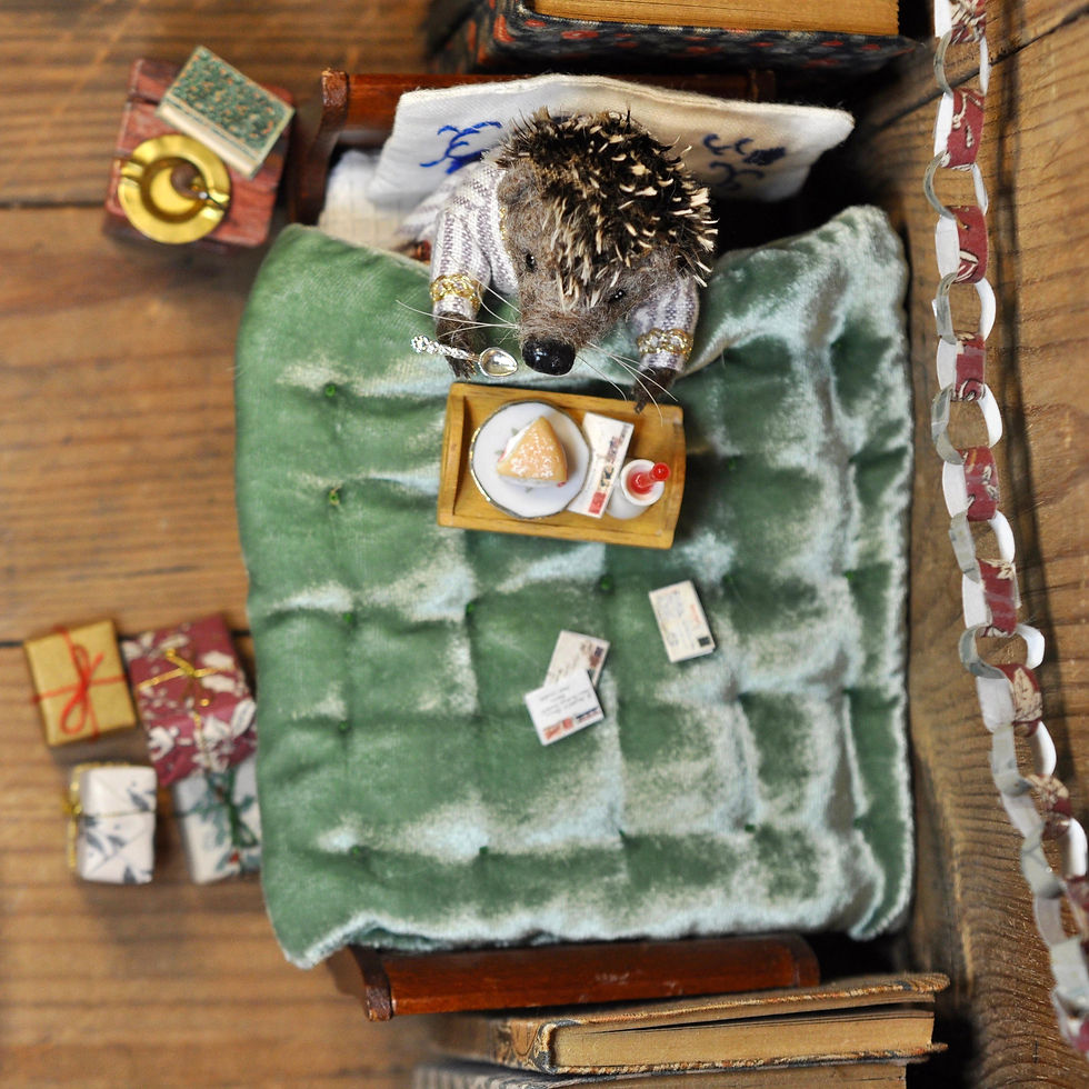 Thumbnail: Mr Hedgehog in his cosy bed