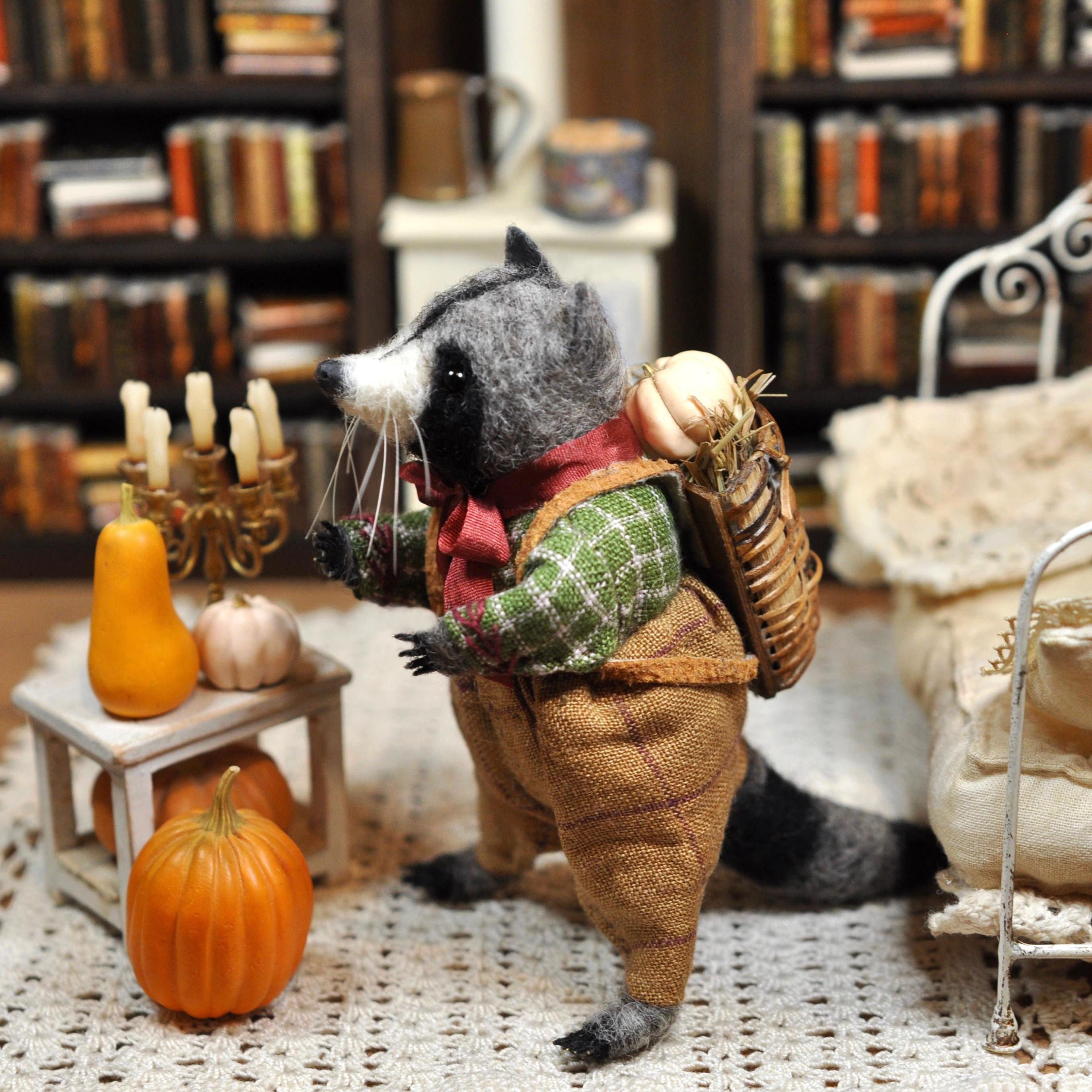 Little Autumn Raccoon