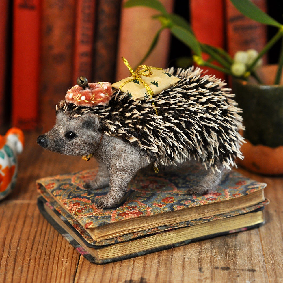 Little Hedgehog and his Christmas present