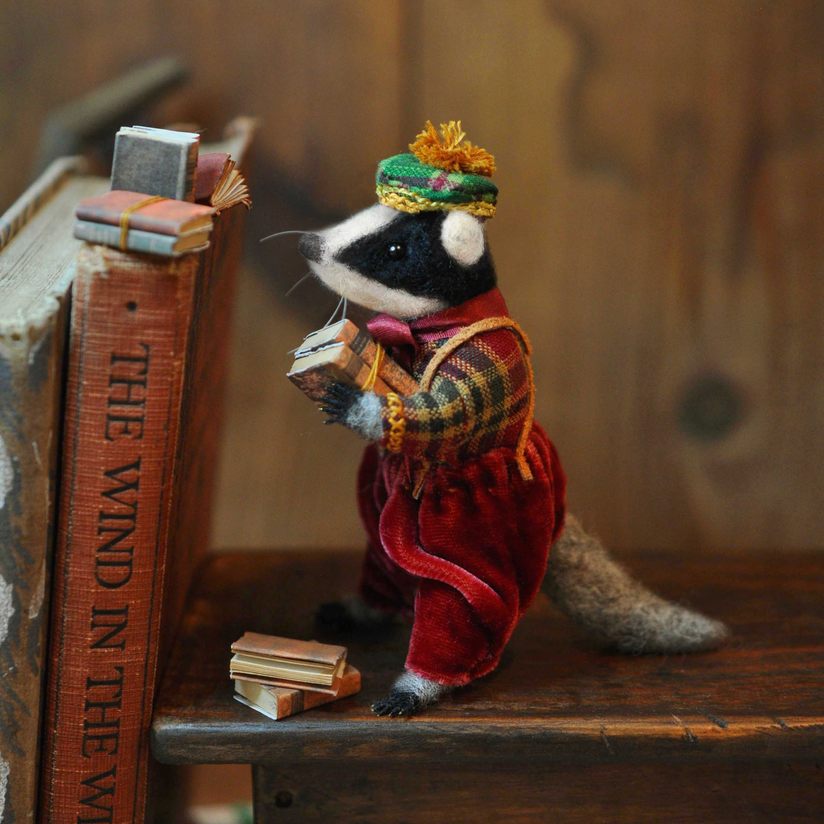 Mr Badger the writer