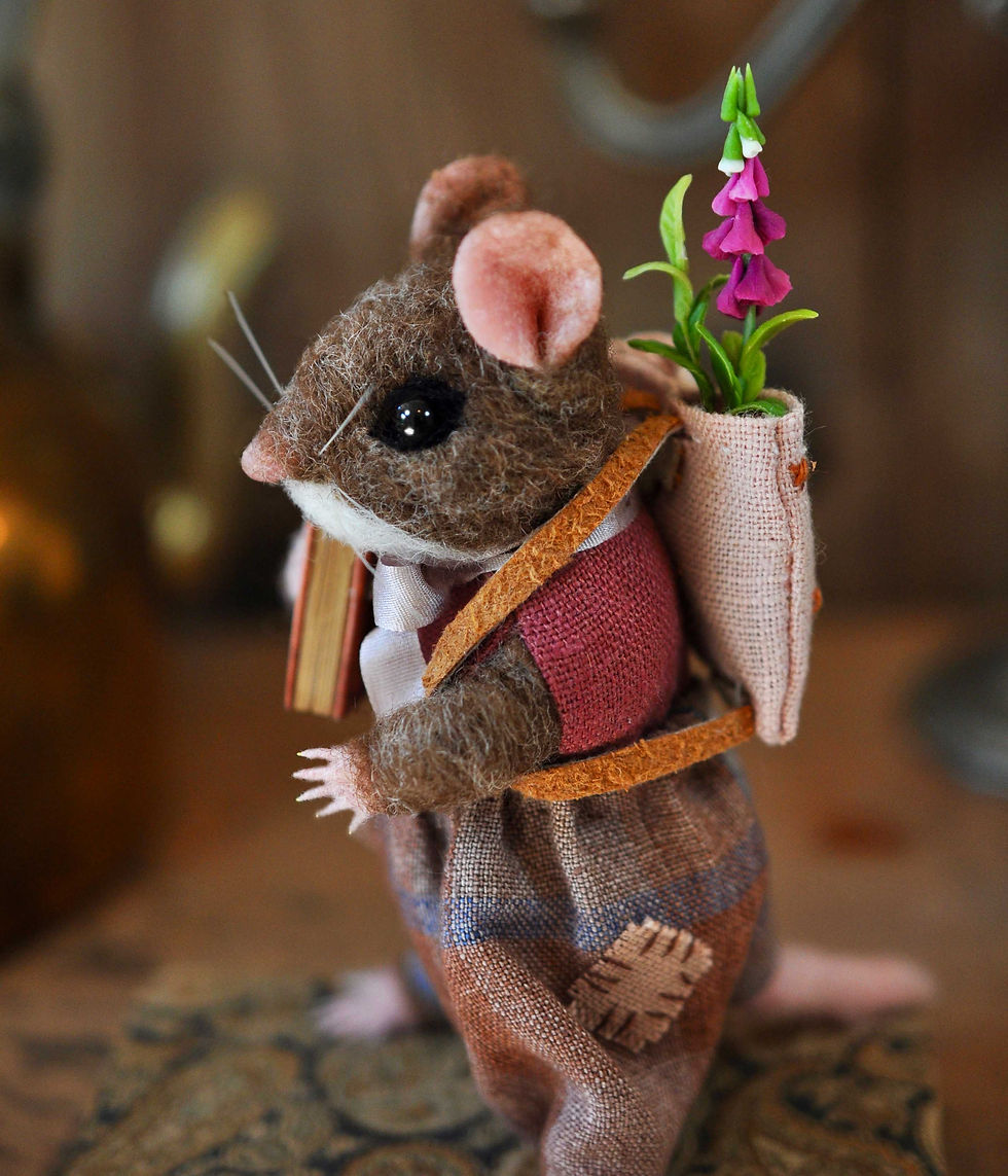 Miniature : Little librarian dormouse