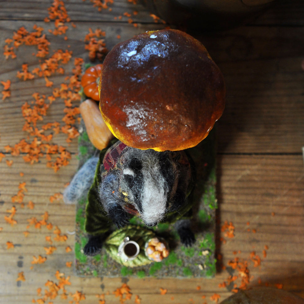 Thumbnail: Old Badger under his mushroom