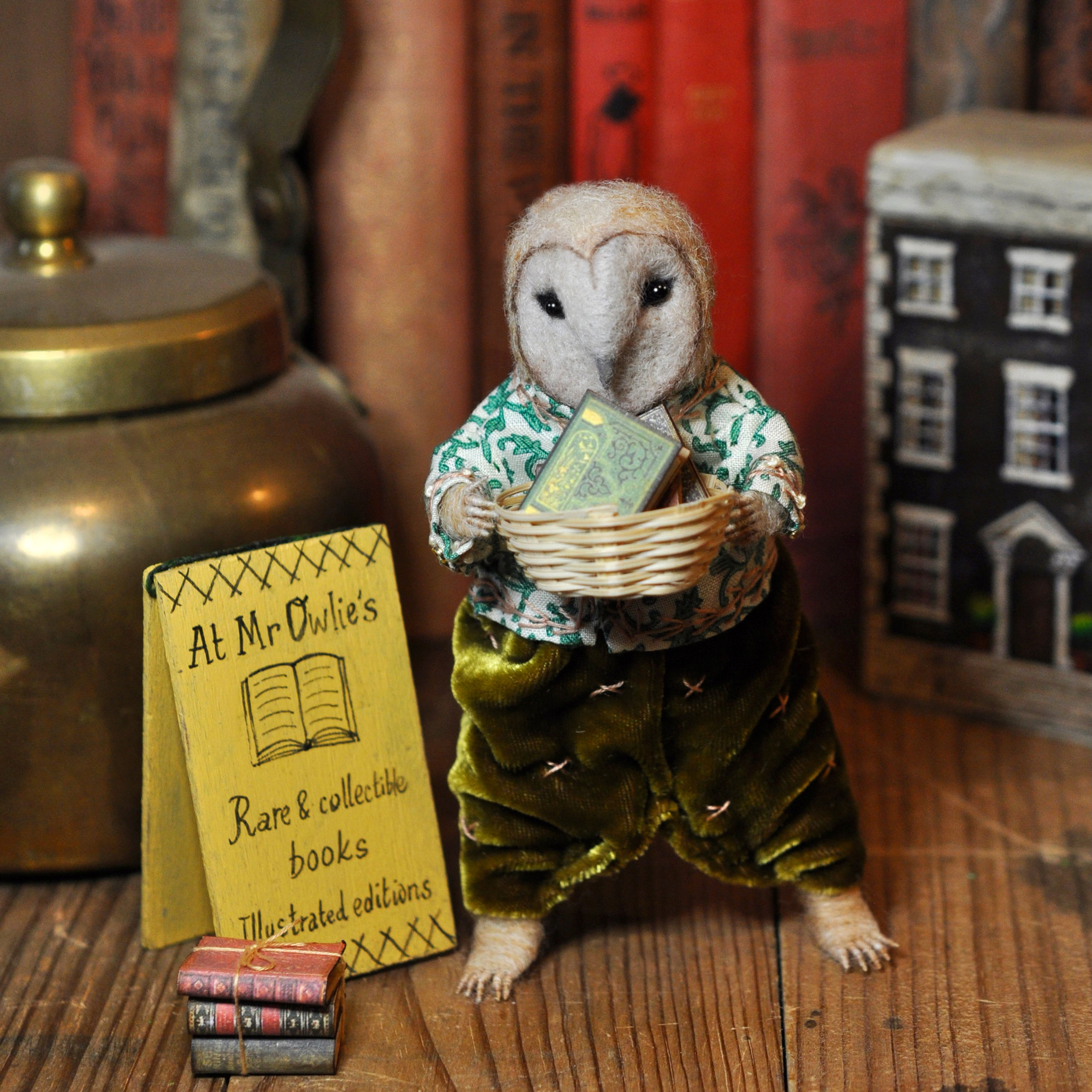 Mr Owlie the bookseller
