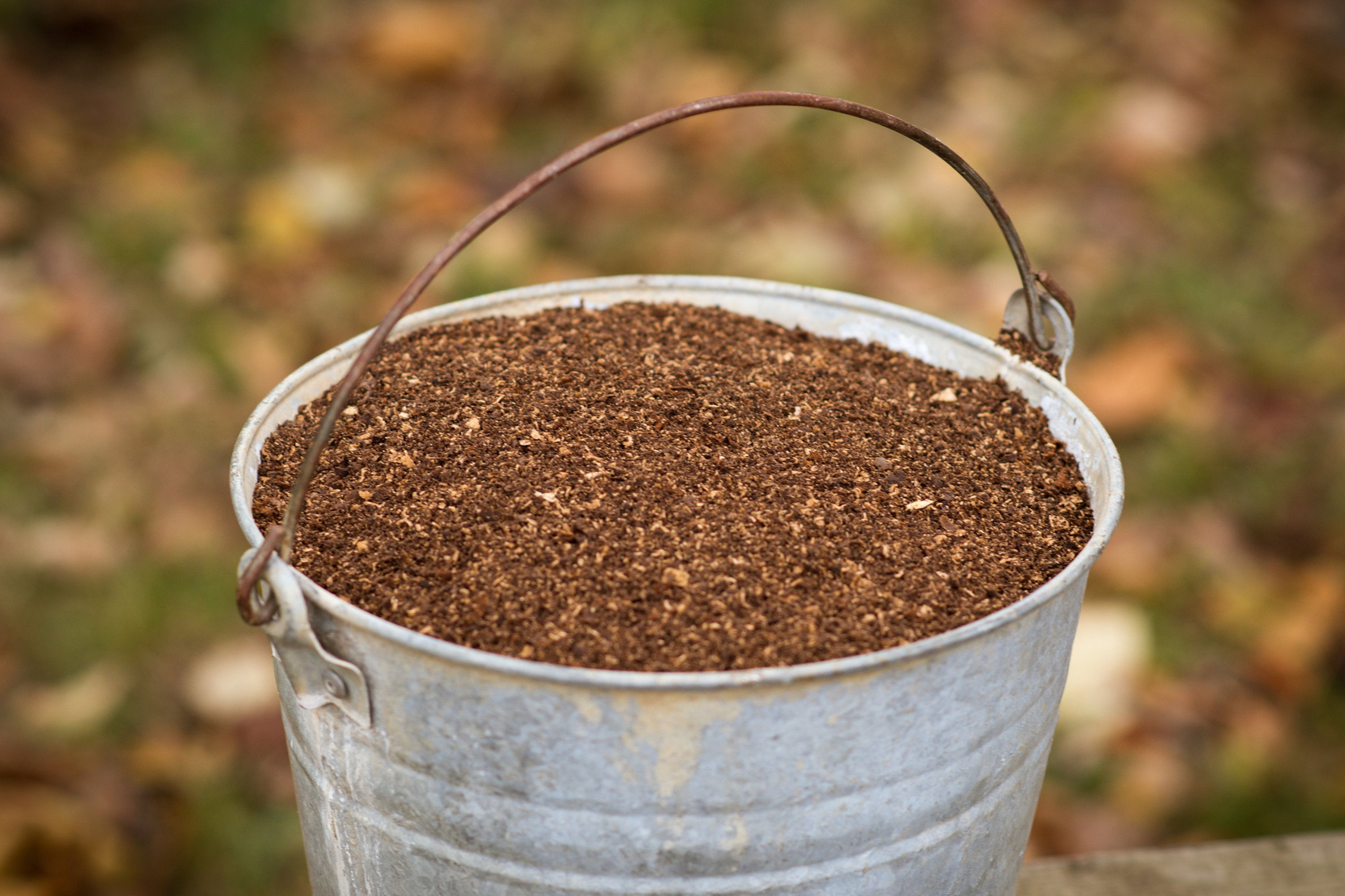 1lb Black Walnut Sawdust
