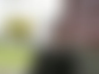 Møte med forfattaren Agnes Ravatn