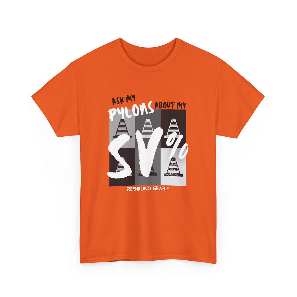 Thumbnail: ASK MY PYLONS ABOUT MY SV%