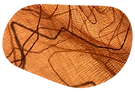 gauze.png
