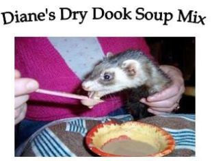 ferret soup