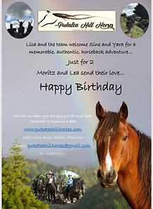 gift voucher horse riding