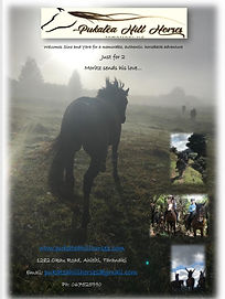 gift voucher horse riding