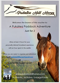 gift voucher horse riding