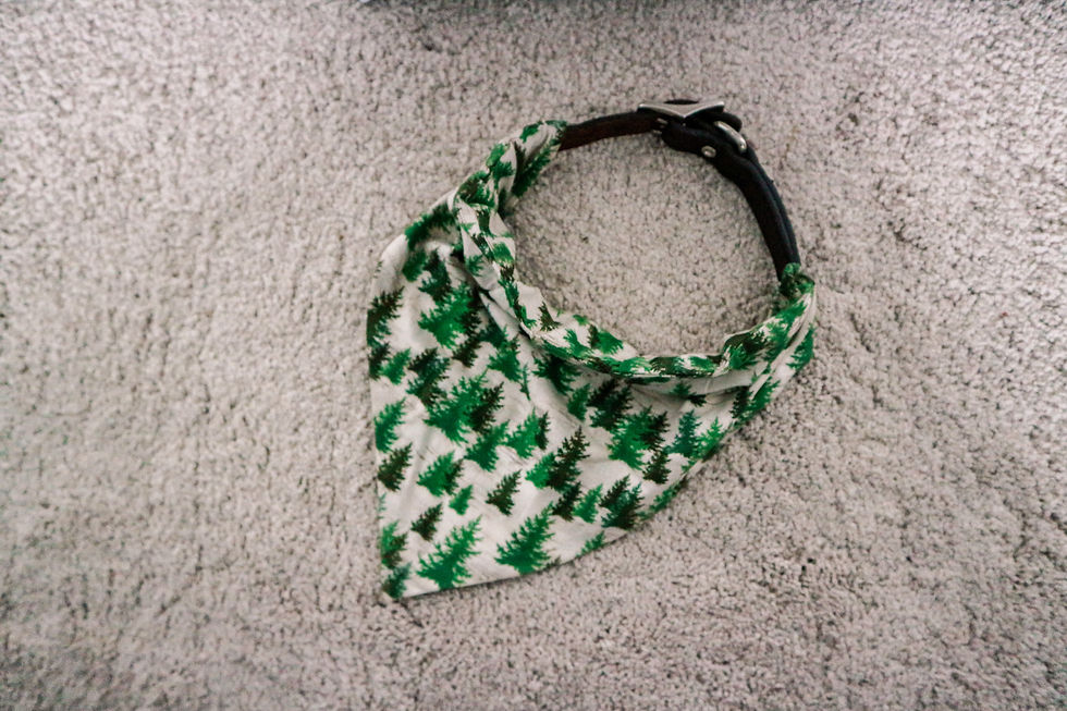 Thumbnail: Dog Bandana