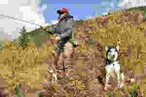 Dog Training Bozeman Montana Puppy Class