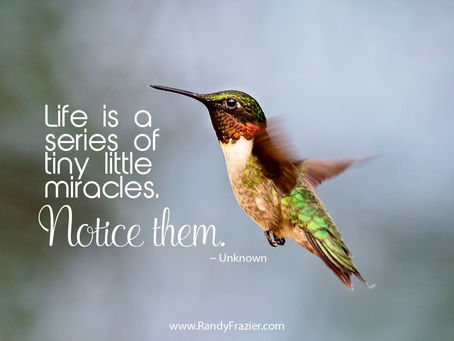 Don’t Overlook the Miracle