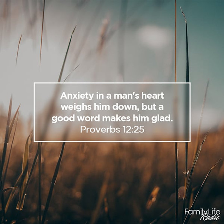 Day 12 proverbs chapter 12