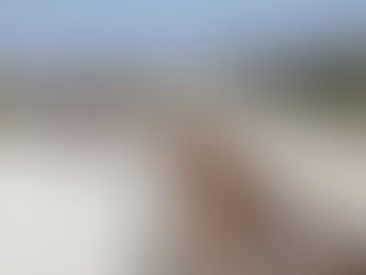 PacJoint - Continuous Pour Expansion Joints for Bridge Barriers