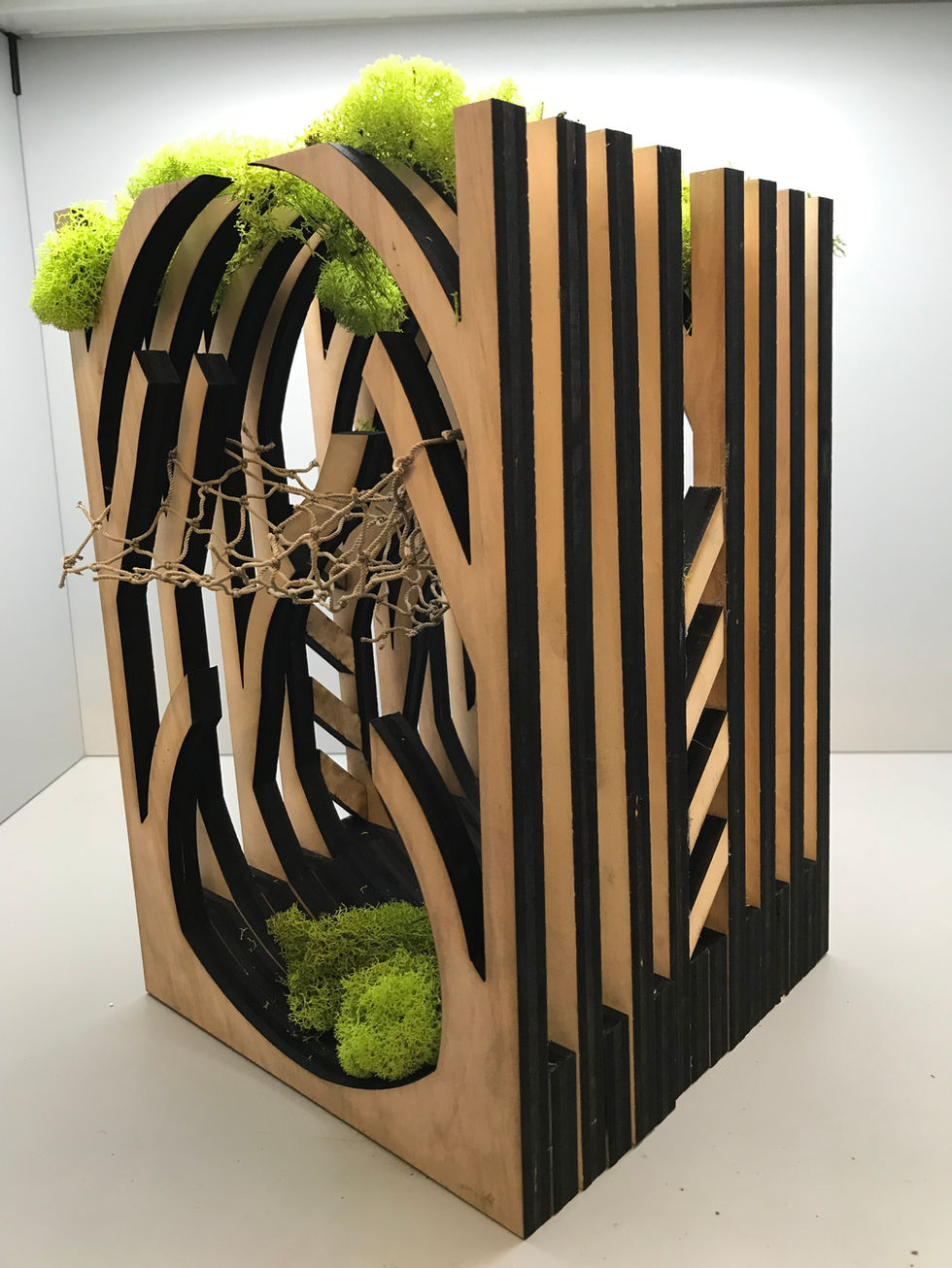 Finished Model. Laser Cut.