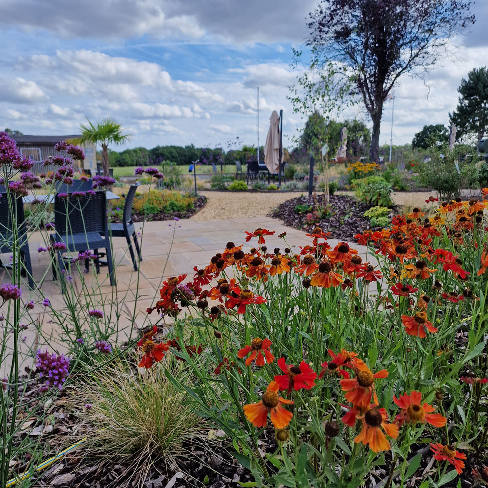 bright orange planting by a seating area