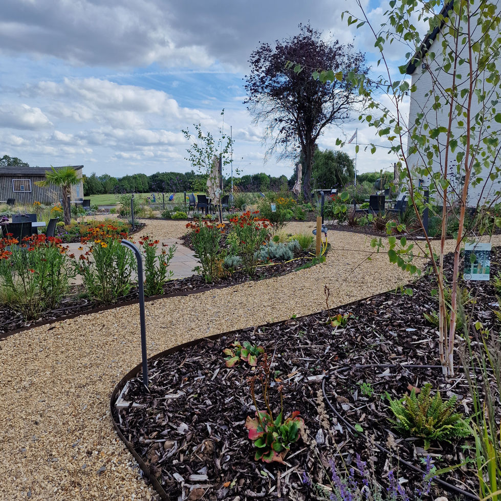 gravel pathway with planting either side