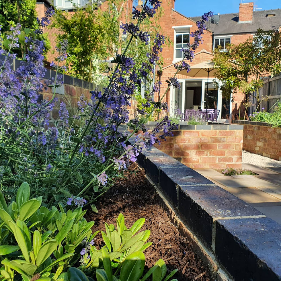 IMG_20210615_212456_320