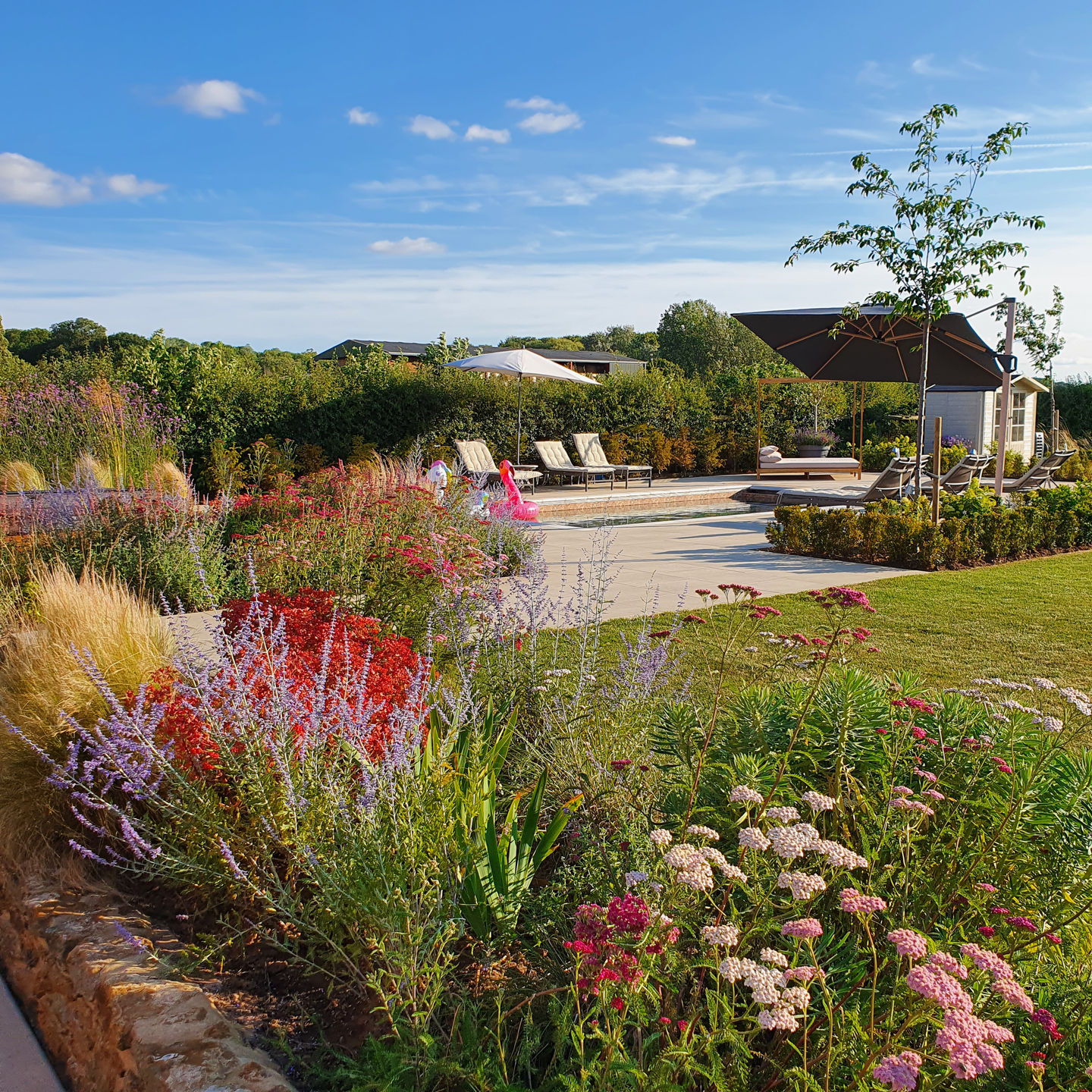 family garden with swimming pool 