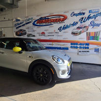 2021 Electric Mini PPF.jpg