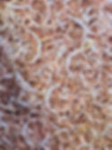 338363416_251547430566804_4781140891719375056_n.jpg
