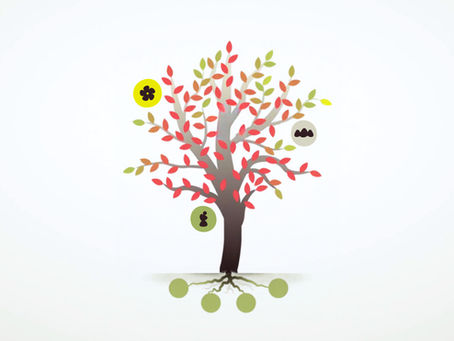 Kura Tāwhiti Foundation video still featuring tree motif with symbols for people, place and planet.