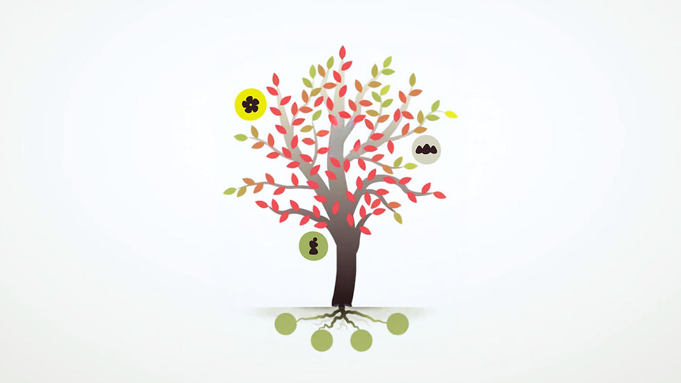 Kura Tāwhiti Foundation video still featuring tree motif with symbols for people, place and planet.