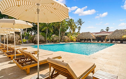Livingstone-Pool6van7-800x500.jpg