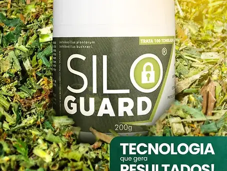 Qual é o melhor inoculante para silagem?
