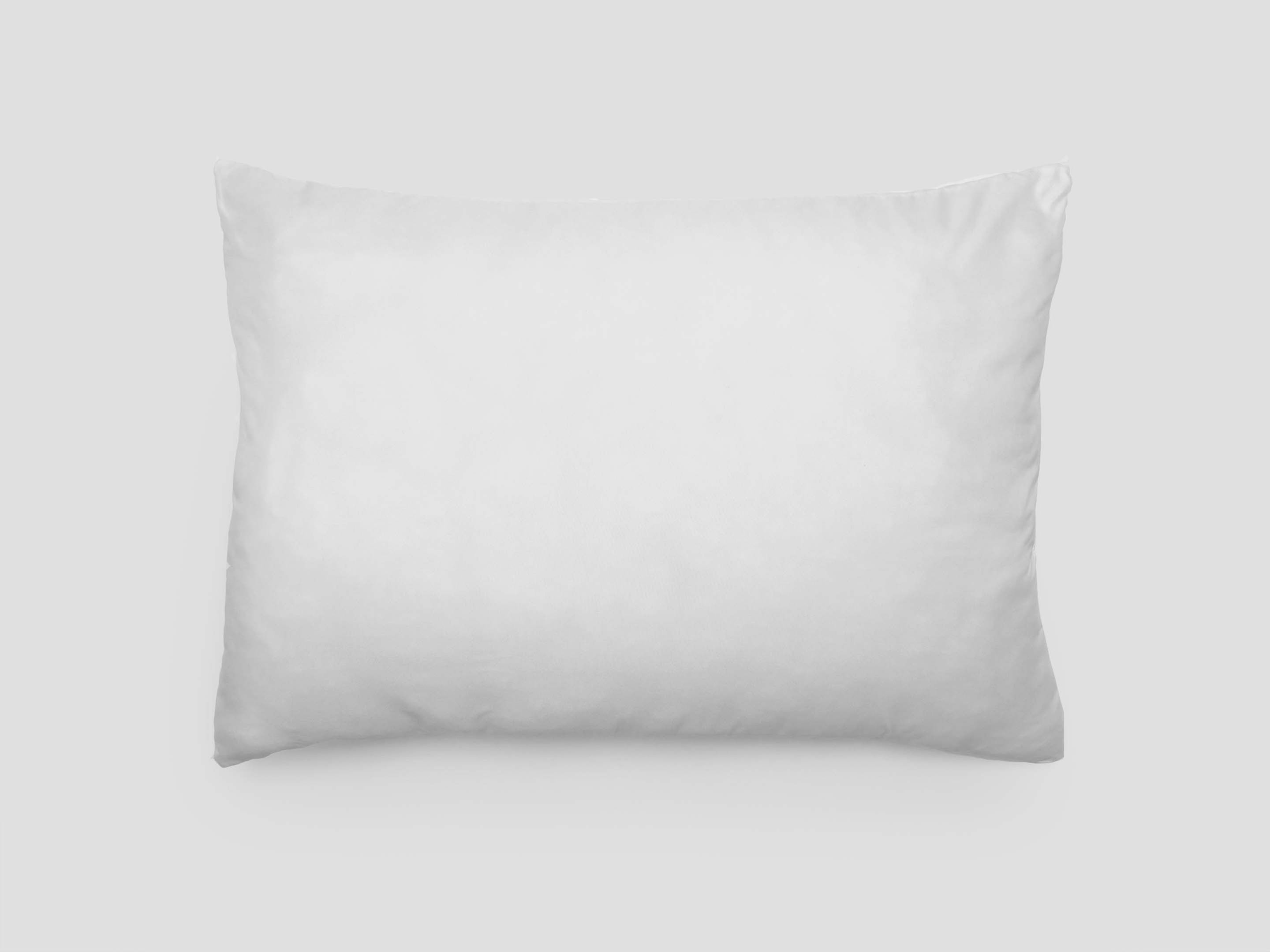 Coussin de garnissage 30x50 cm