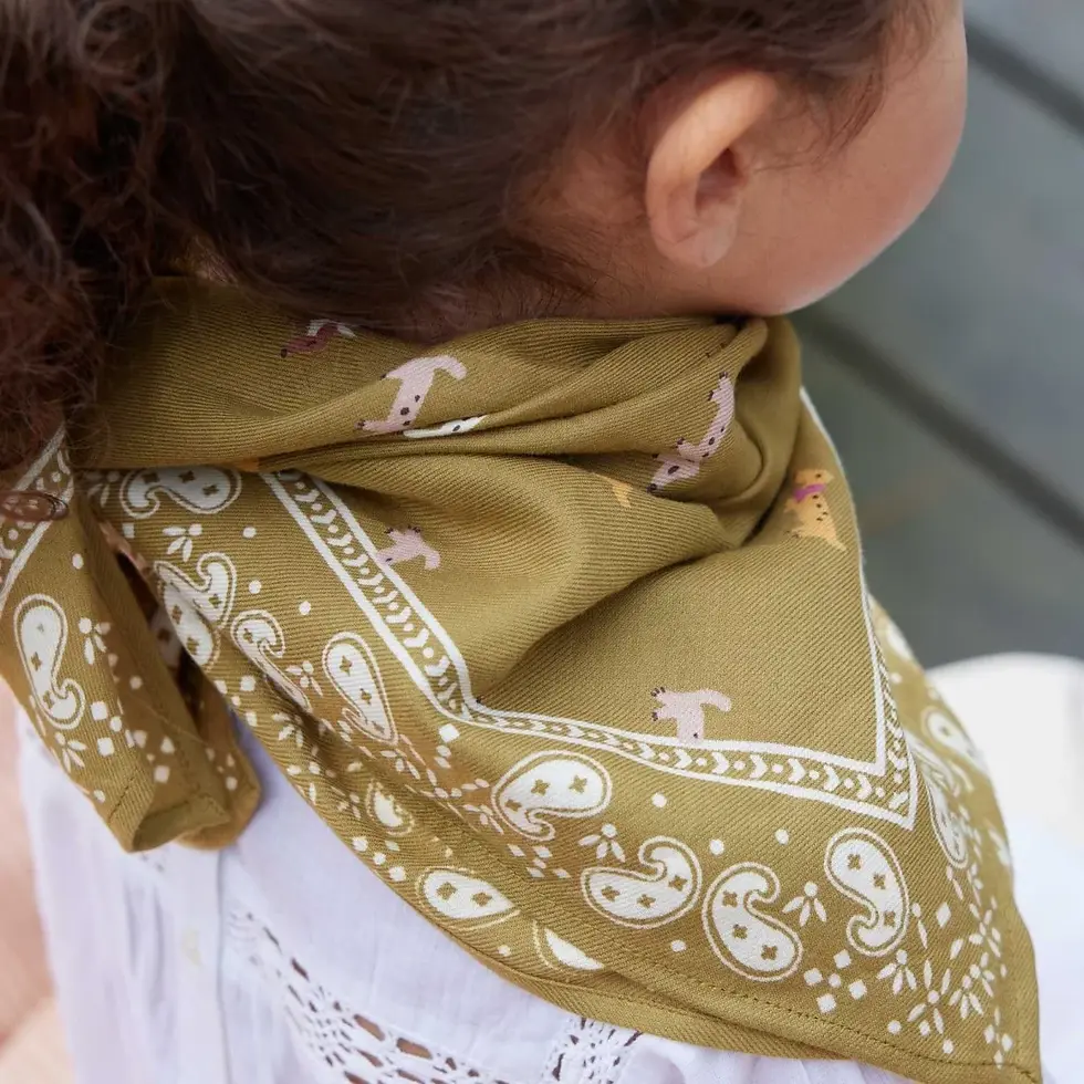 Miniature : Foulard indien teckel olive