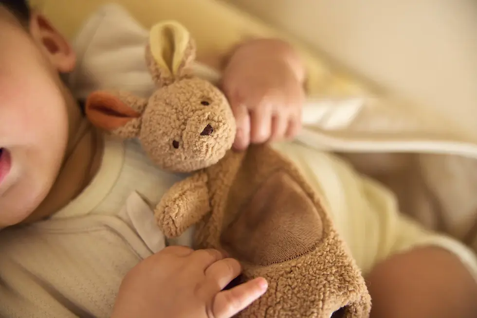 Miniature : Attache Sucette - Kangaroots