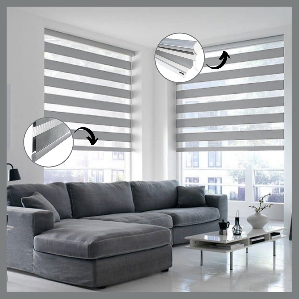 Thumbnail: Zebra Blind