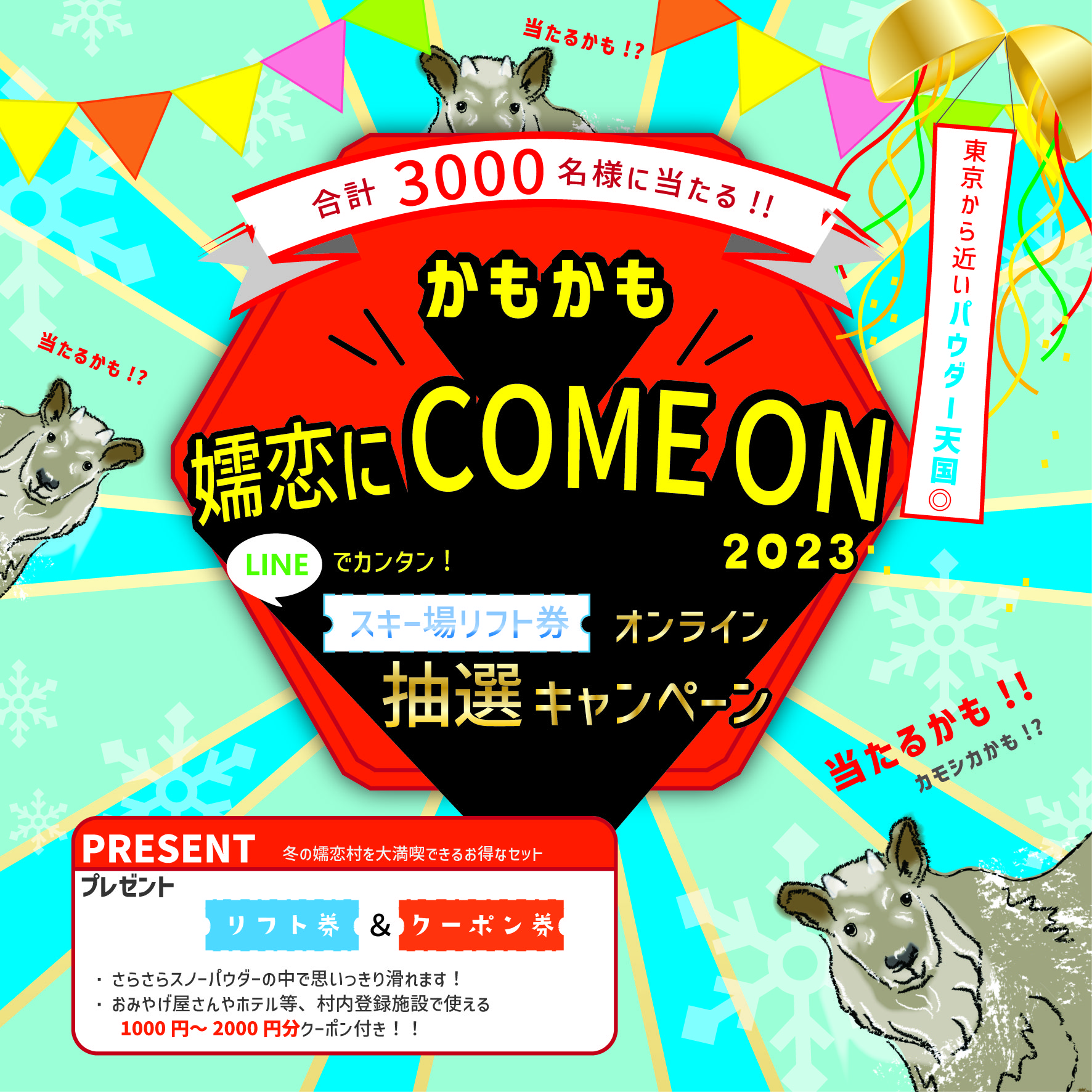 かもかも嬬恋にCOME ON！東京から近いパウダー天国！つまごい村の